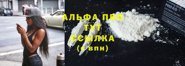 PSILOCYBIN Волоколамск