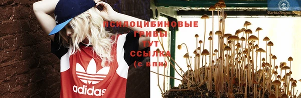 крисы Володарск