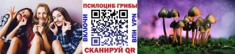 Галлюциногенные грибы Magic Shrooms Купить где Олонец