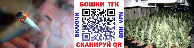 Конопля THC 21%  Купить закладки  Олонец 